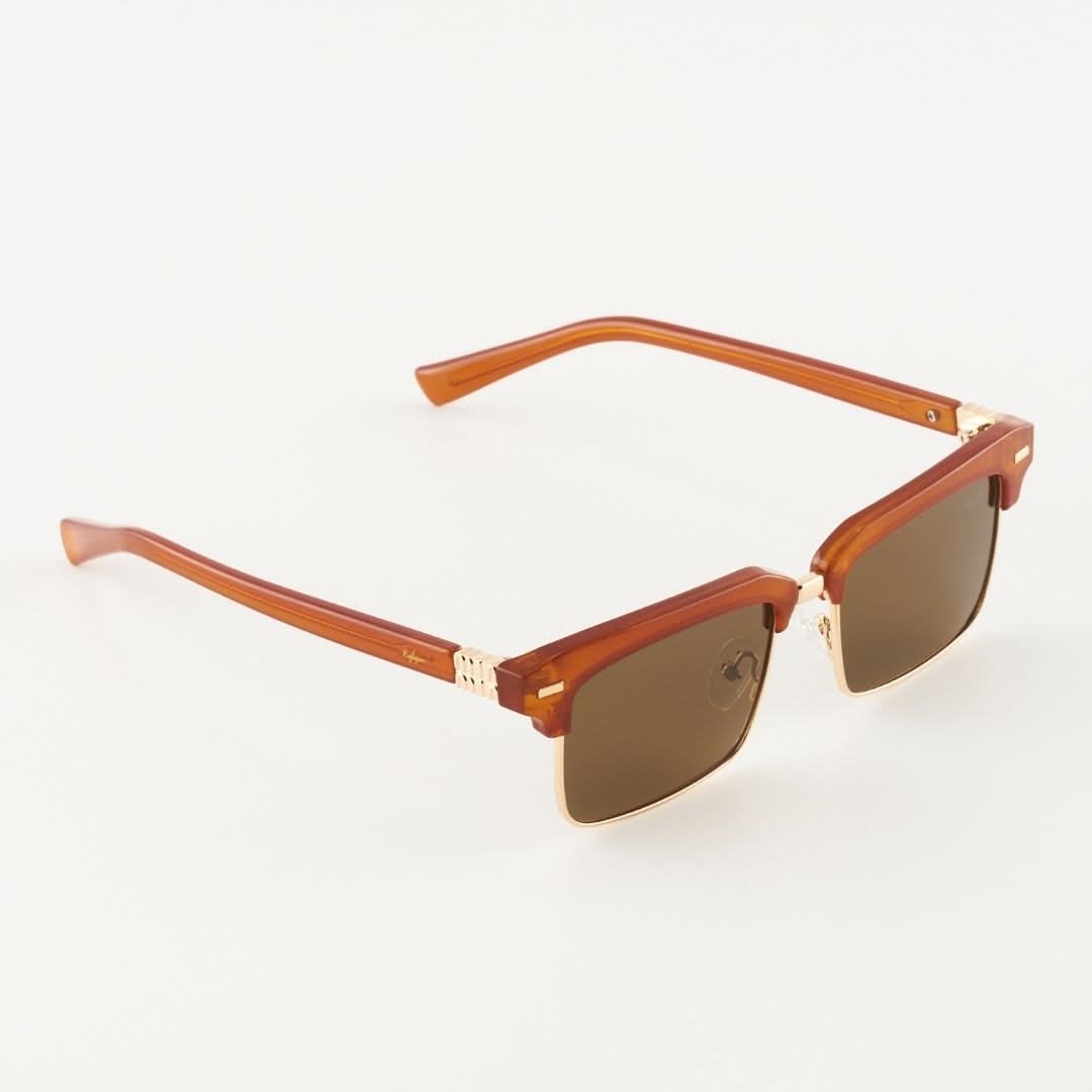 Paxton Sonnenbrillen