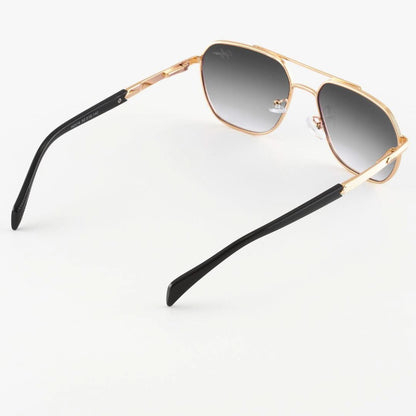 Darryl Sonnenbrillen